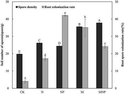 Responses of Arbuscular Mycorrhizal Fungi Diversity and Community to 41-Year Rotation Fertilization in Brown Soil Region of Northeast China